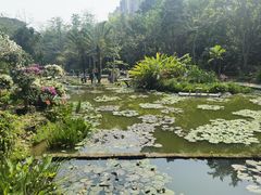 -曼听御花园