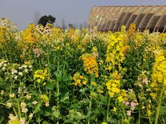 -中国天府农业博览园