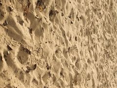 -尚贤河湿地
