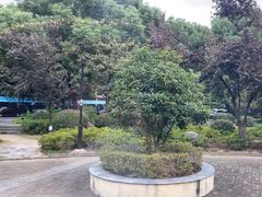 -颂福楼·南京菜(定淮门店)