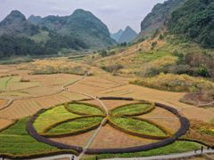 -靖西鹅泉风景区