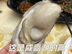 高压生蚝-聚味瞿记·龙虾堂(咸嘉湖店)
