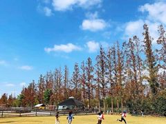 -前小桔亲子创意农场·草莓采摘·露营烧烤