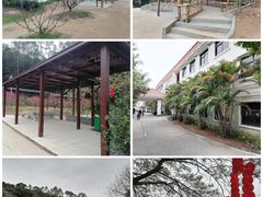 -南国桃园旅游度假区