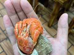 -毛哥小馆子(百井坊巷店)