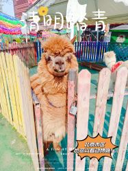 -萌宠亲子动物乐园(槐房万达店)