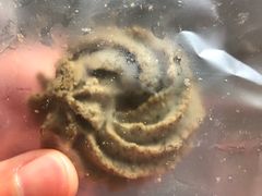 -面包与我Bread Or Me(长城汇店)