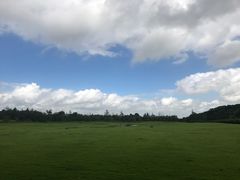 -上海怡沁园度假酒店