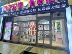 -青奢宠物·青奢猫舍