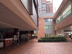 -香港大学