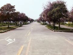 -无忧学车·大众驾校(长宁校区)