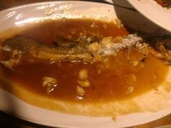 -船歌鱼水饺(淄博万象汇店)