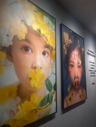 -大树儿童摄影