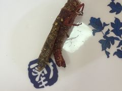 -溢心园香河肉饼总店