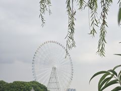 -无锡蠡湖国家湿地公园-蠡园