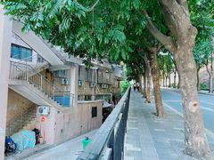 -小南山公园