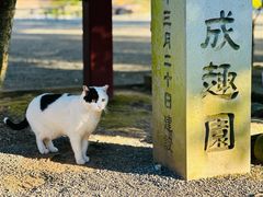 -水前寺成趣园
