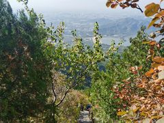-北京十三陵国家森林公园蟒山景区