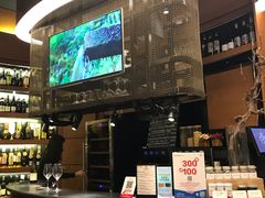 -识酒猫 x SNAP(国贸商城店)