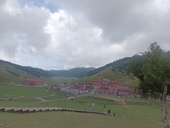 -关山草原