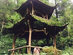 -青城山