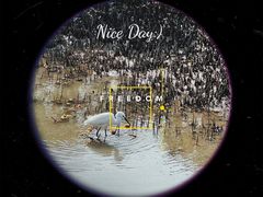 -北海金海湾红树林生态旅游区