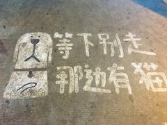 门面-有猫主题·治愈系猫咖(曾厝垵店)