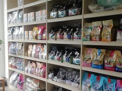 -宠颐生动物医院·猫科·心脏科(海口分院)