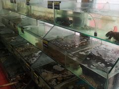 -雅逸居海鲜小厨