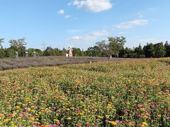 -同里国家湿地公园