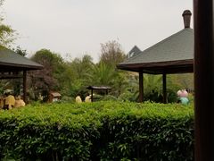 -咸宁万豪温泉谷度假区