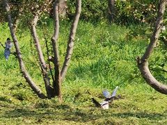 -蜀冈西峰生态公园