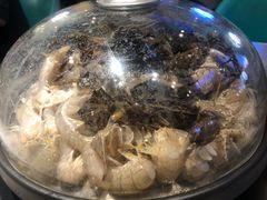 大连应季海鲜-乔哥铭洋海鲜自助(皇城恒隆广场店)