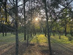 -森林公园(尖草坪区)