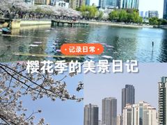 -西北湖绿化广场