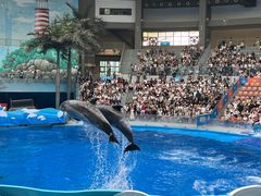 -海合安成都极地海洋公园