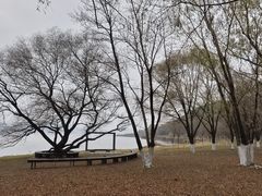 -棋盘山风景区