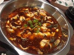 红汤鱼火锅-川渔居—鱼火锅(八方汇店)