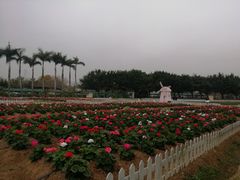 -盈香心动乐园