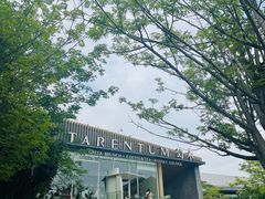 -欢乐海岸水秀剧场