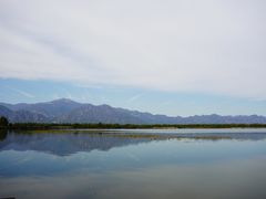-野鸭湖国家湿地公园
