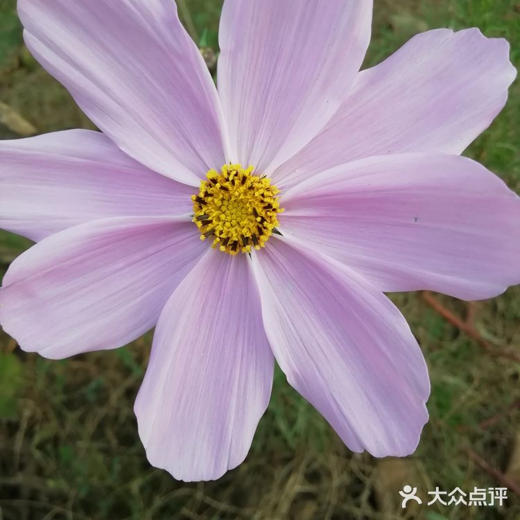 河的东岸新建了一个很大的公园,虽然没有命名