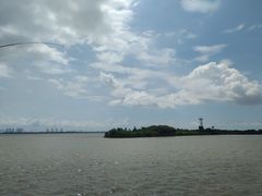 -大湾区中央湿地公园-十九涌