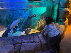 -沈阳海洋探索中心