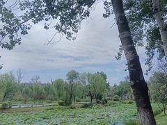 -渭滨公园