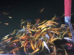 -天达烤全羊