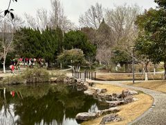 -泰州凤城河风景区-泰山公园