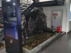 -上海德星奔驰(江杨南路店)