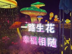 -洋湖国家湿地公园