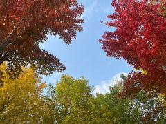 -回龙观体育文化公园